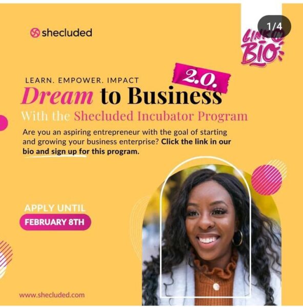 Shecluded Dream to Business Incubator Program 2.0 Applications Now Open ...