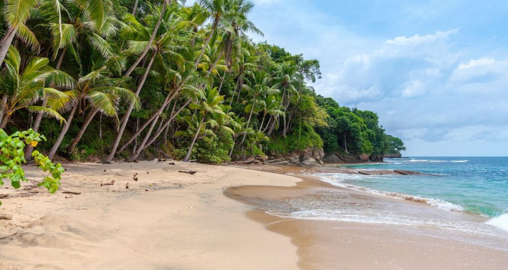Palm trees in front of a body of water in Tarkwa Bay beach
